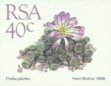 Frithia pulchra