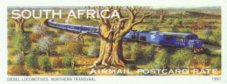 Adansonia digitata