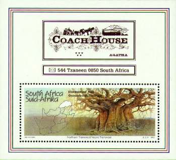Baobab