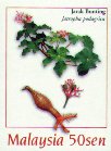Jatropha podagrica