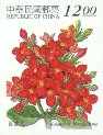 Kalanchoe blossfeldiana