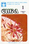 Melocactus guitarti