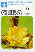 Opuntia militaris