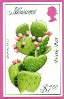 Opuntia tuna