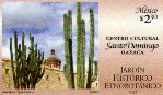 Cereus sp.